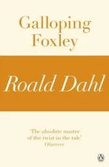 Cover of Galloping Foxley