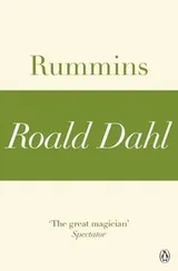Cover of Rummins