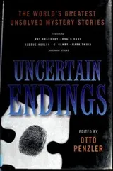 Cover of Uncertain Endings