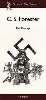Cover of The hostage