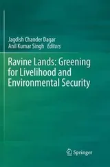 Cover of Ravine Lands