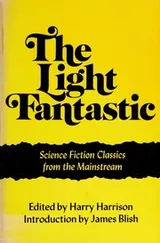 Cover of The light fantastic
