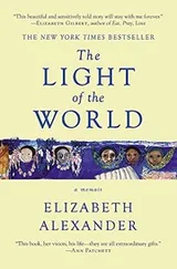 Cover of The Light of the World