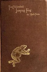 Cover of The Celebrated Jumping Frog of Calaveras County