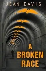 Cover of A Broken Race
