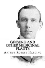 Cover of Ginseng and Other Medicinal Plants