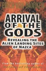 Cover of Arrival of the Gods