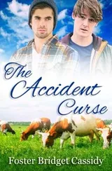 Cover of The Accident Curse