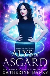 Cover of Alys of Asgard