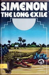 Cover of Long cours