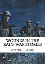 Cover of Wounds in the rain