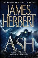 Cover of Ash
