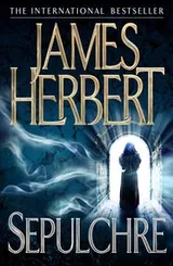 Cover of Sepulchre