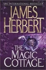 Cover of The Magic Cottage
