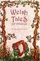 Cover of Welsh Tales for Children