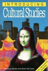 Cover of Introducing cultural studies