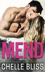 Cover of Mend