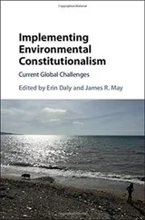 Cover of Implementing Environmental Constitutionalism