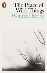 Cover of The Peace of Wild Things and Other Poems