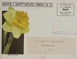 Cover of David J. Scott Estate, Corfu, N.Y.