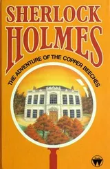 Cover of The Adventure of the Copper Beeches