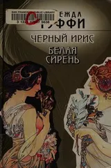 Cover of Chernyĭ iris, belai︠a︡ sirenʹ