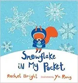 Cover of Snowflake in my pocket