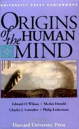 Cover of Origins of the Human Mind