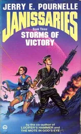 Cover of Storms of Victory