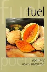 Cover of Fuel