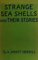 Cover of Strange sea shells and their stories