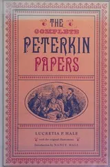 Cover of The complete Peterkin papers