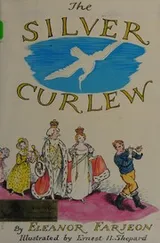 Cover of The silver curlew