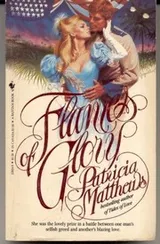 Cover of Flames of Glory