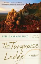 Cover of The Turquoise Ledge