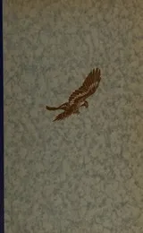 Cover of Golden falcon