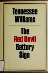 Cover of The red devil battery sign