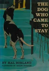 Cover of The dog who came to stay