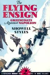 Cover of The flying ensign