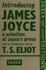 Cover of Introducing James Joyce