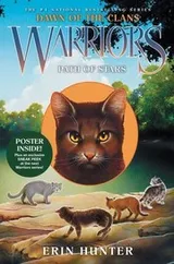 Cover of Path of Stars