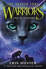 Cover of Veil of Shadows