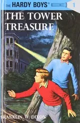 Cover of The Hardy boys