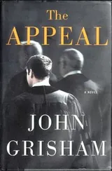 Cover of The Appeal