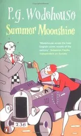 Cover of Summer moonshine