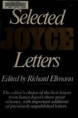 Cover of Selected letters of James Joyce
