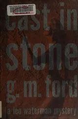 Cover of Cast in stone