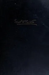 Cover of A backward glance