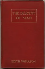 Cover of The Descent of Man and Other Stories