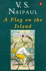 Cover of A flag on the island